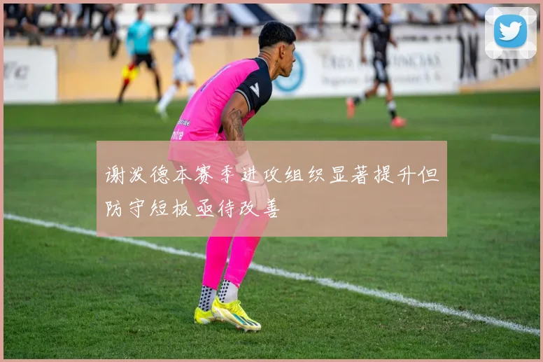 谢泼德本赛季进攻组织显著提升但防守短板亟待改善