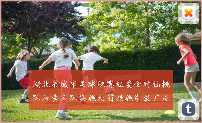 湖北省城市足球联赛组委会对仙桃队和黄石队实施处罚措施引发广泛关注