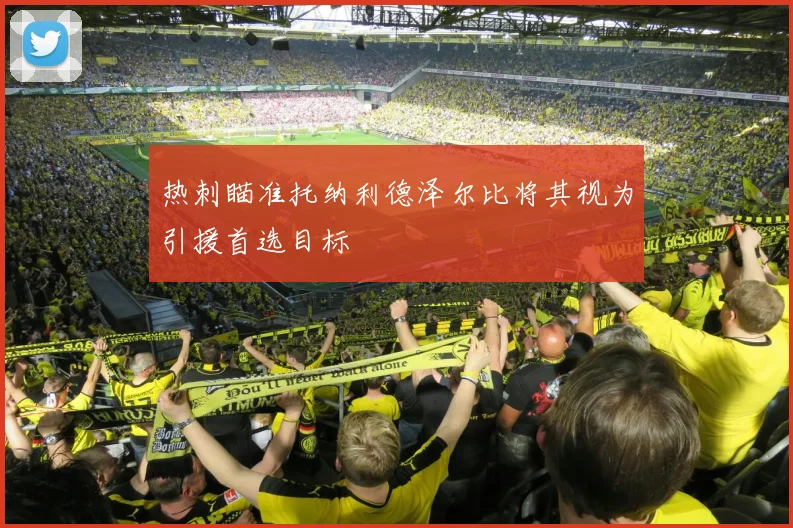 热刺瞄准托纳利德泽尔比将其视为引援首选目标