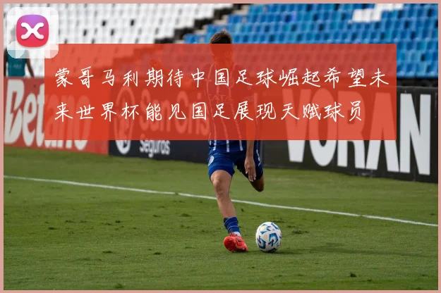 蒙哥马利期待中国足球崛起希望未来世界杯能见国足展现天赋球员